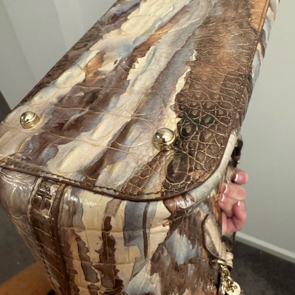 Brahmin Medium Asher with Ady wallet Caribou - Picture 9 of 12